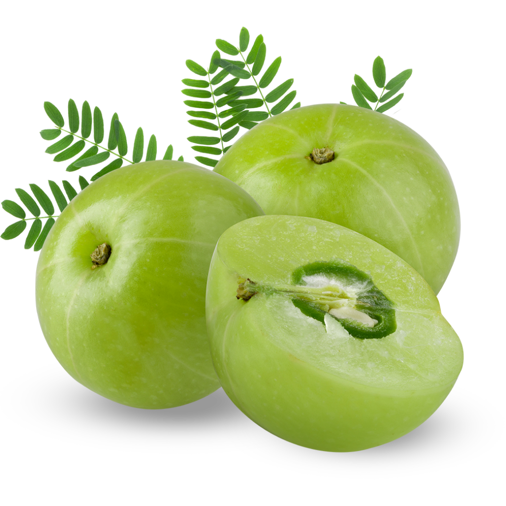 Amla